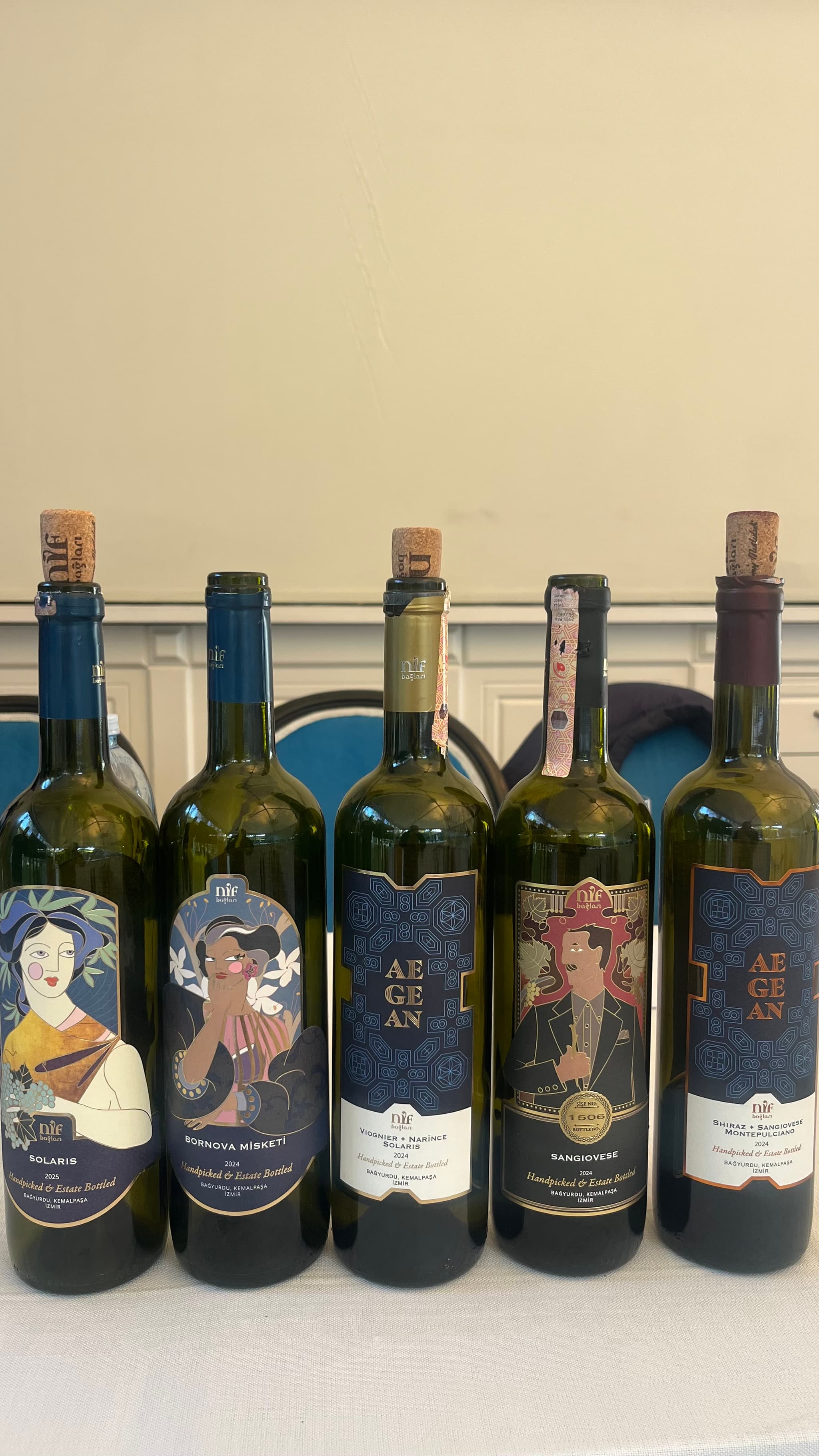 Gökalp  Saban profil fotoğrafı