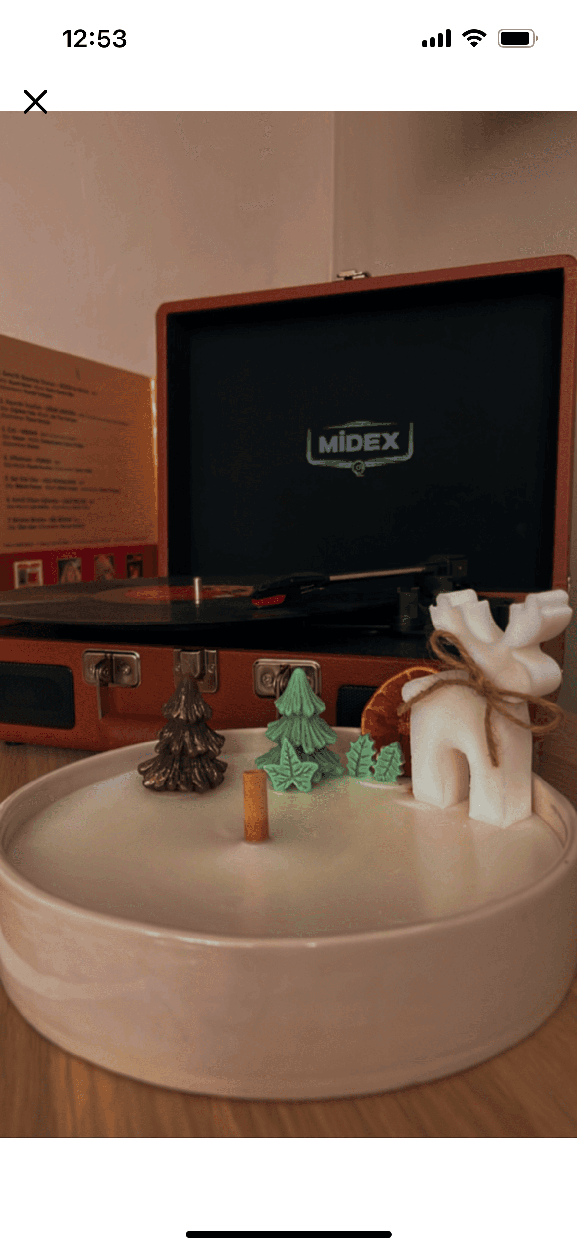 Gamze Kaplanoğlu profil fotoğrafı