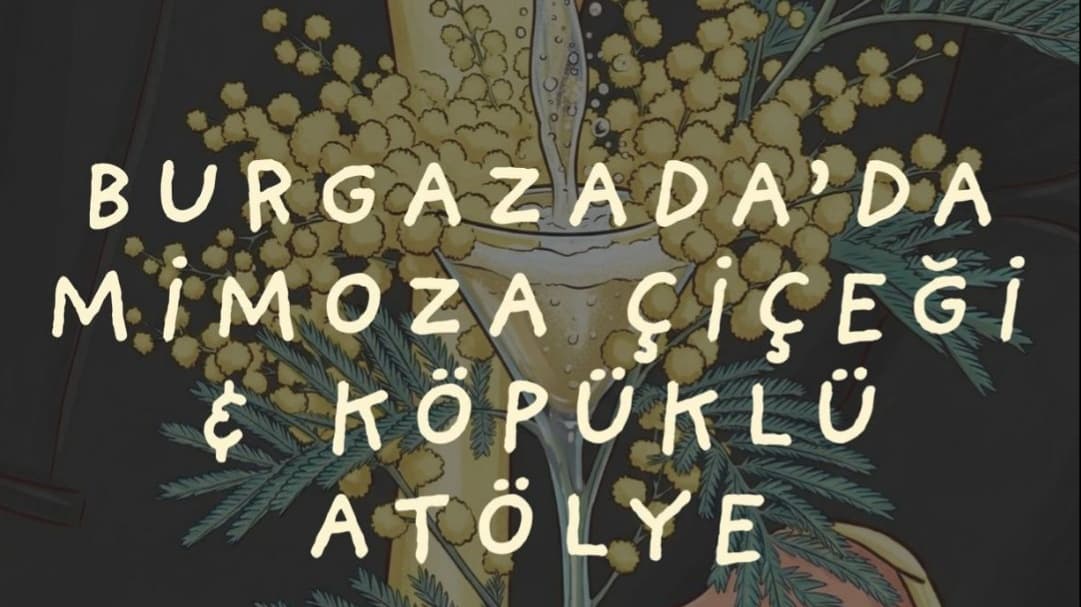 Burgazada’da Mimoza  Çiçeği & Köpüklü Atölye