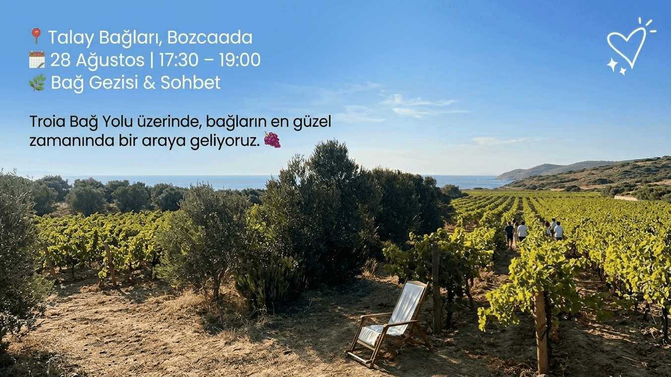 Bir Salkım Misafirlik Bozcaada'da Talay Bağları