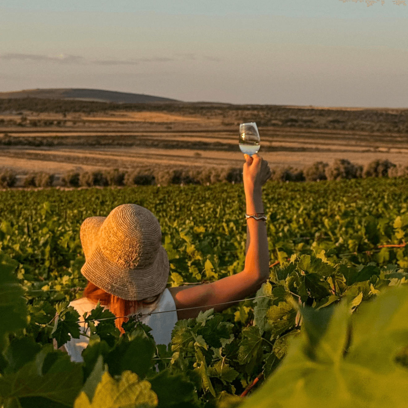 Sena Şenkal ile Anadolu Üzümleri Tadımı 🍇 - Etiler, Dilhayat Sokak No:18/1, Beşiktaş/İstanbul, Türkiye