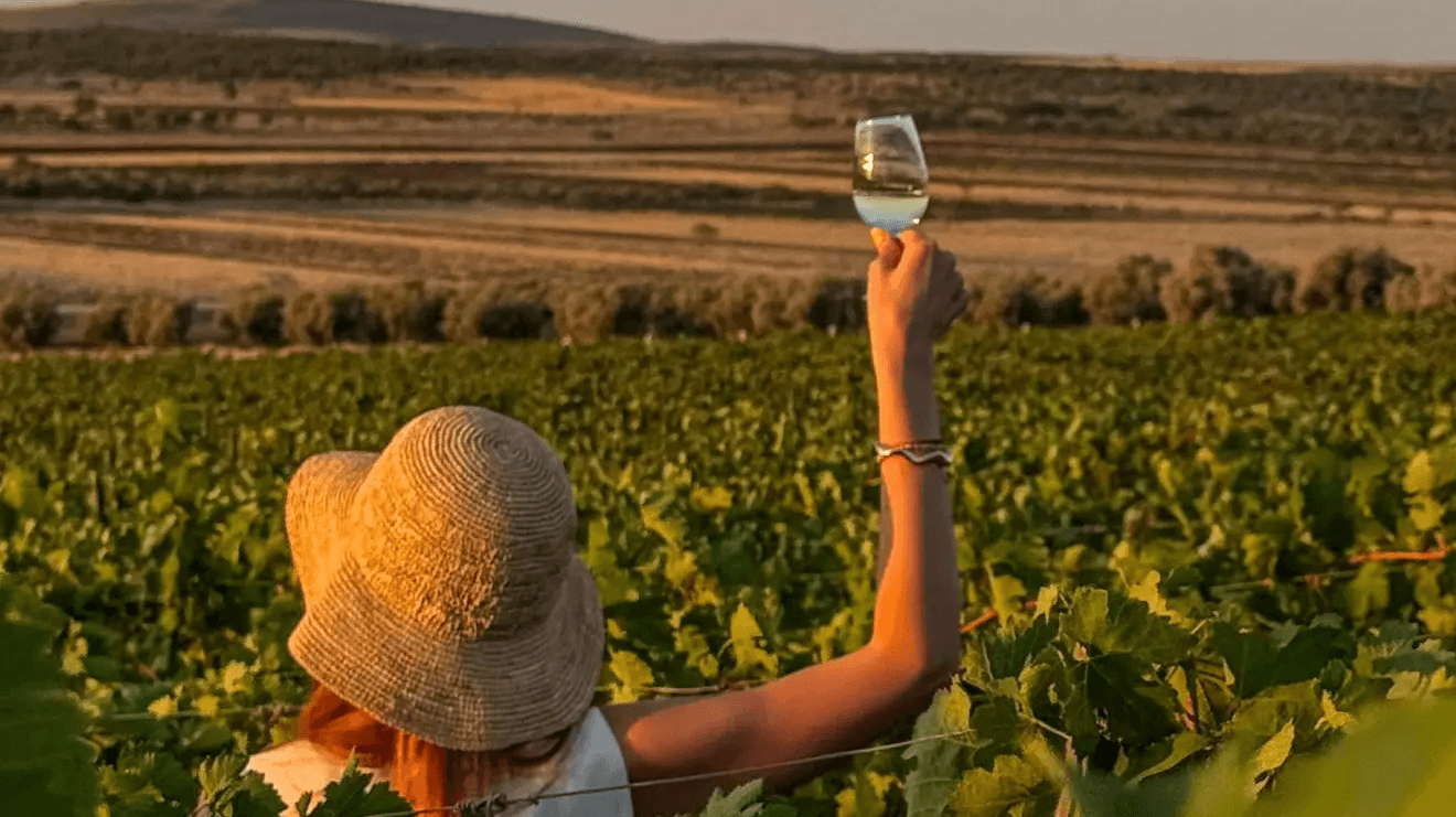 Sena Şenkal ile İtalyan Lezzetleri ve Anadolu Üzümleri