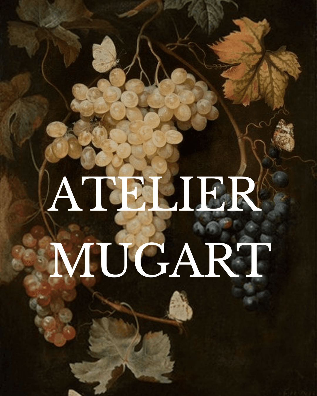 Müge ögel profil fotografi