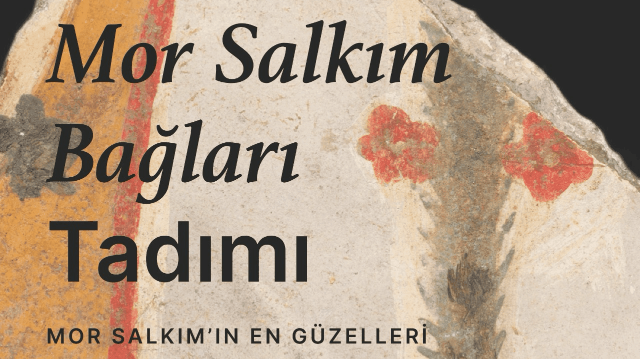Mor Salkım Bağları Tadımı: Ten Seats Bodrum - Revma Bodrum, Bardakçı Koyu, Eskiçeşme, Salmakis Caddesi, Bodrum/Muğla, Türkiye