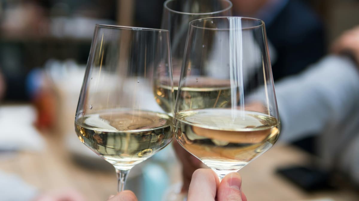 Şarap Tadımı: Ten Seats Bodrum - Meyland Gourmet Wine & Deli, Tepecik, Neyzen Tevfik Caddesi, Bodrum/Muğla, Türkiye